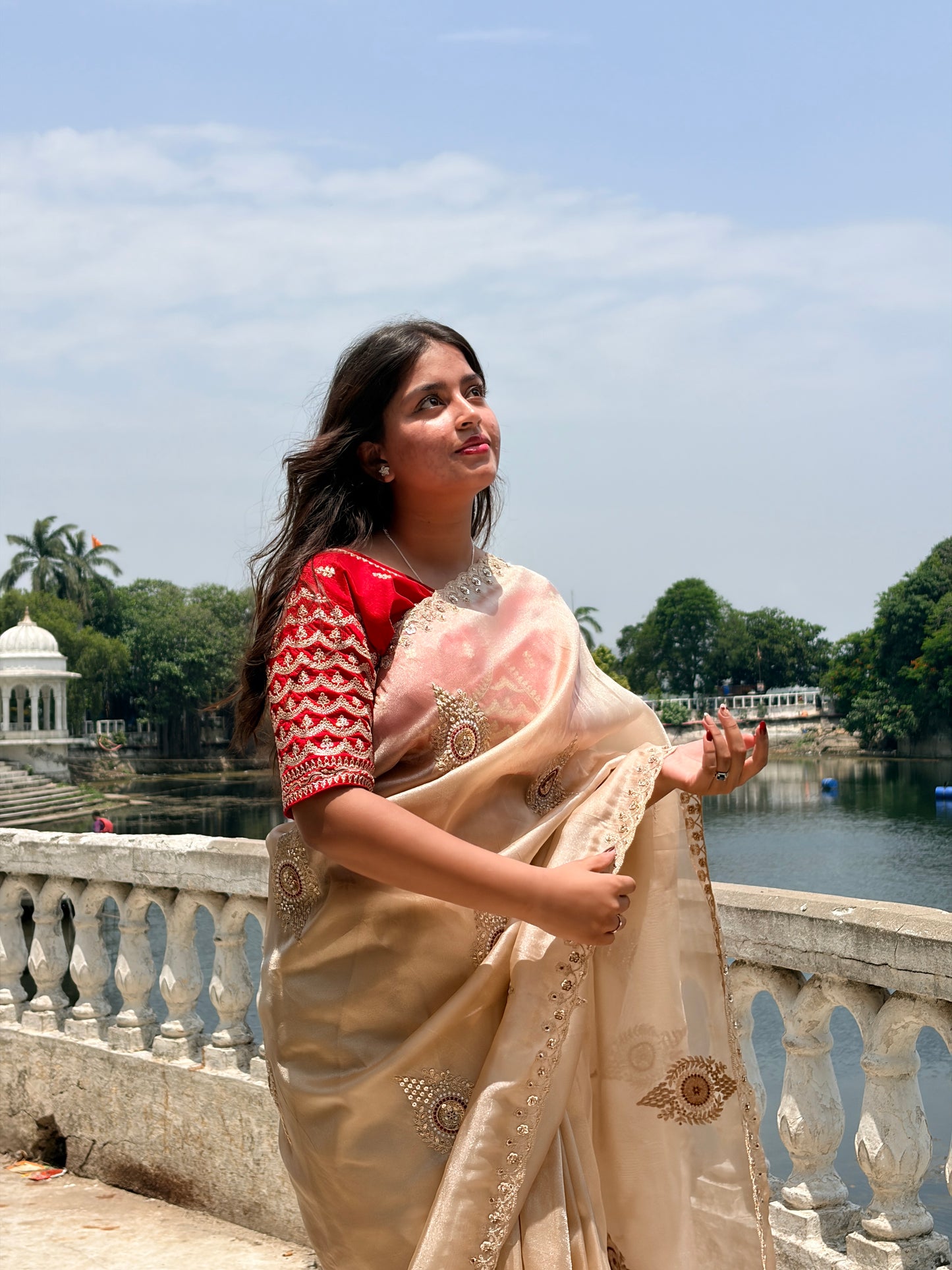 Ivory Beige Organza Saree