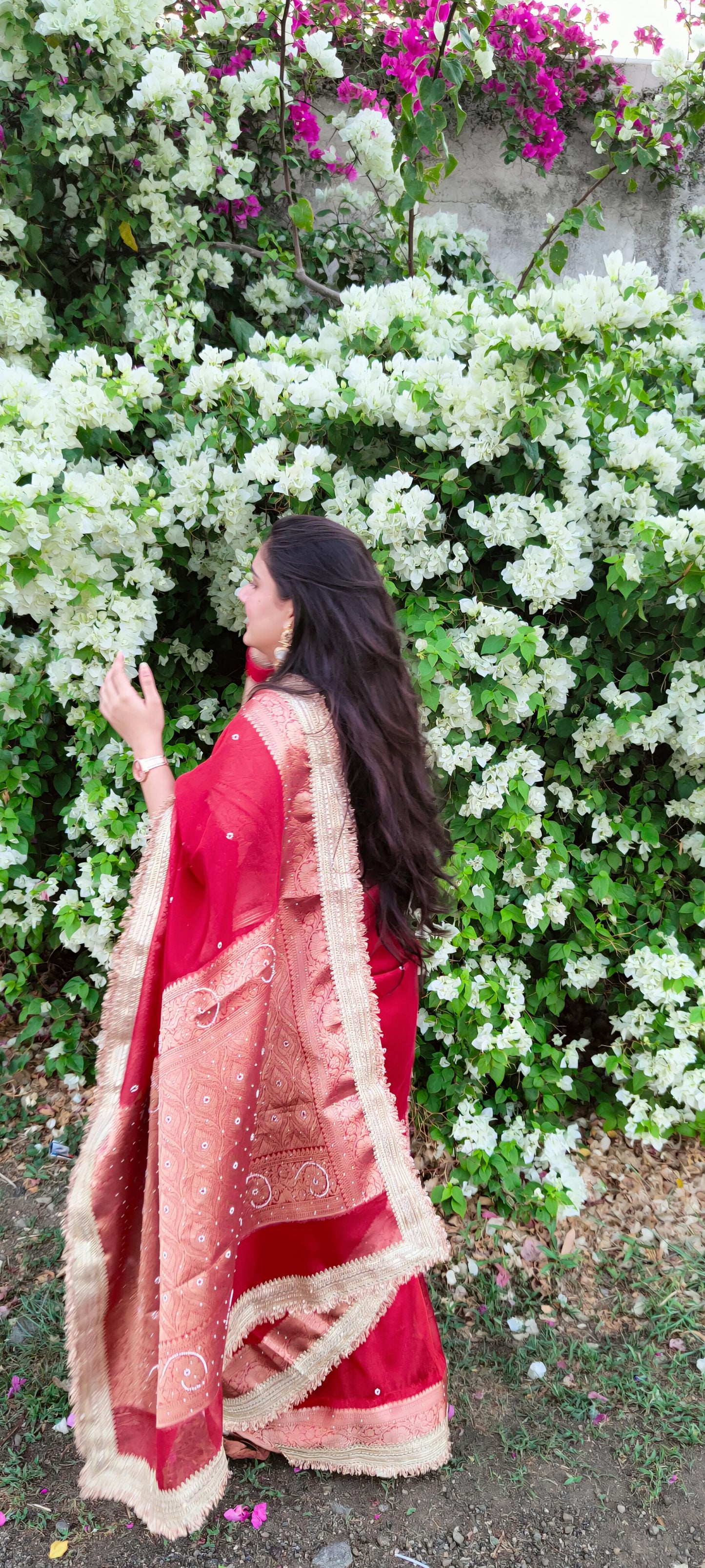 Red Banarasi Soft Maharani Glass Tissue Silk Saree