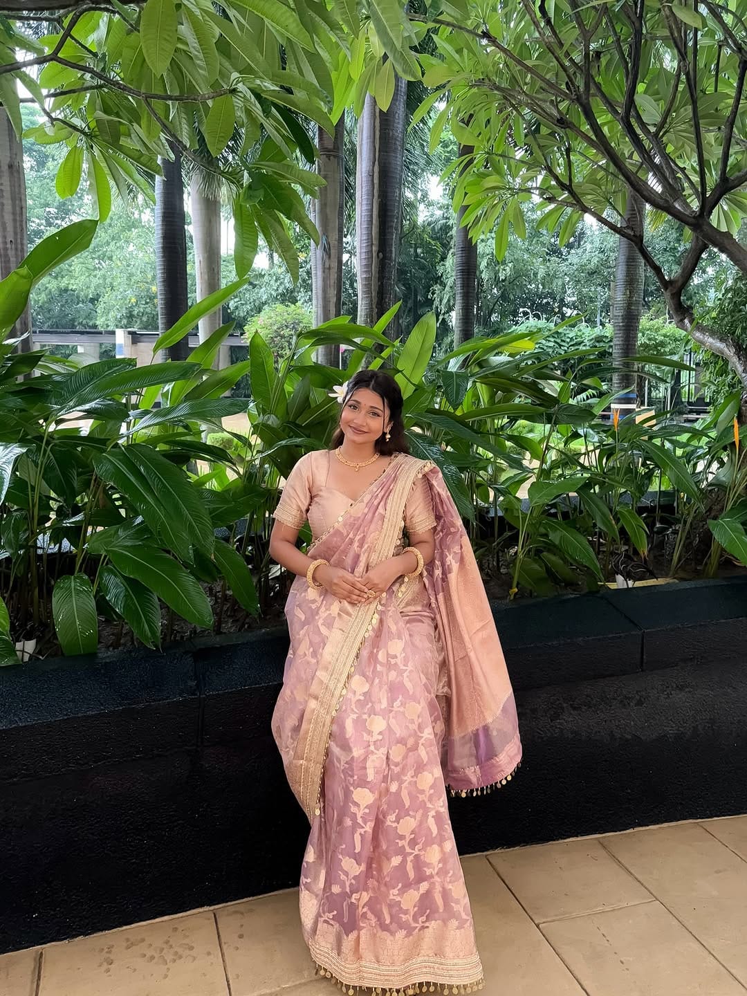 Pink Banarasi Soft Jaal Tissue Silk Saree