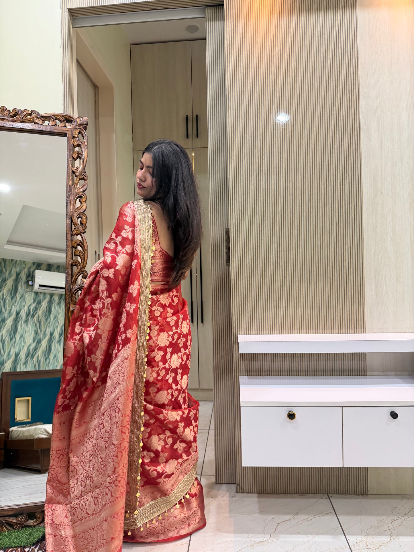 Red Banarasi Soft Jaal Tissue Silk Saree