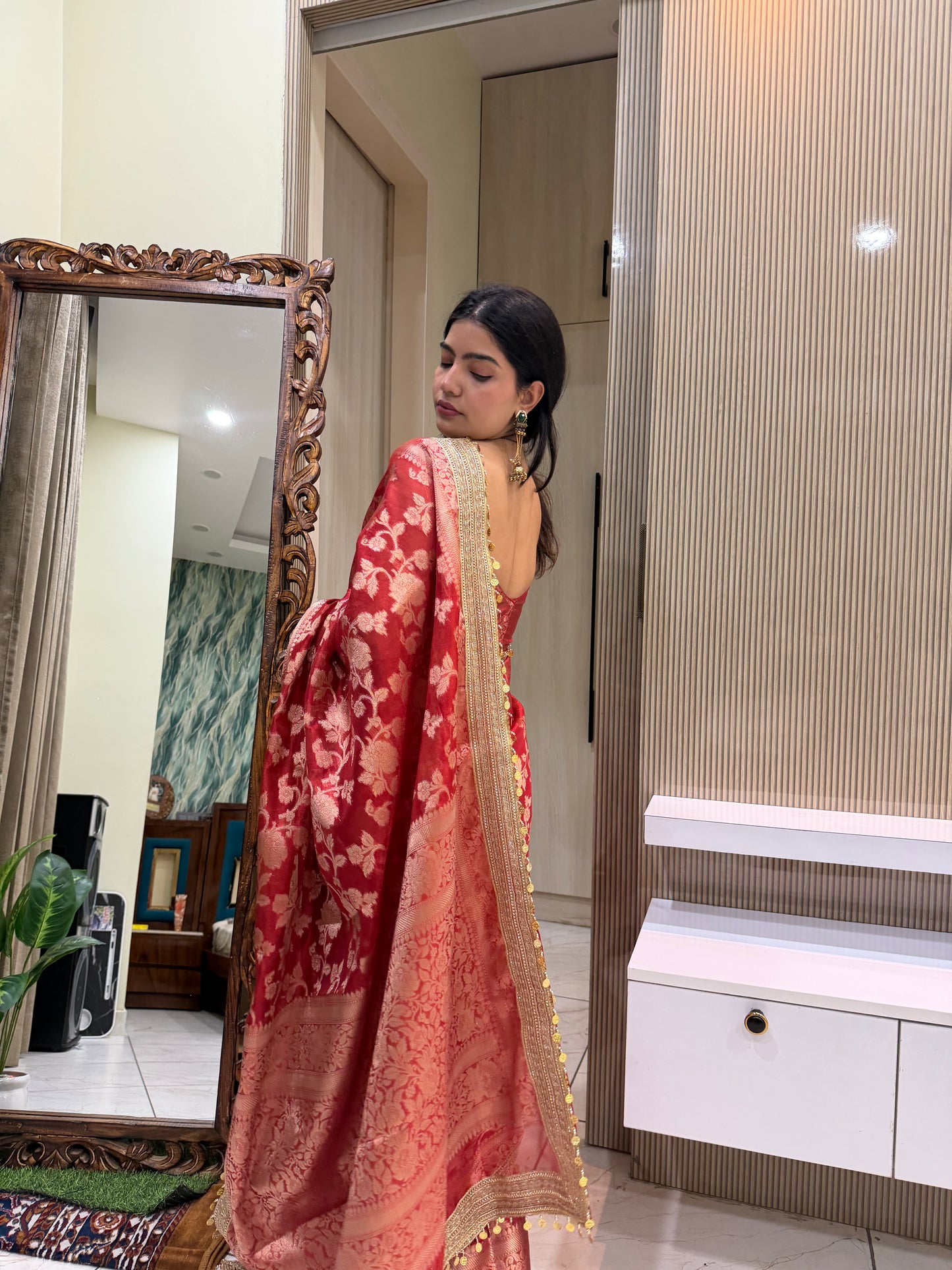 Red Banarasi Soft Jaal Tissue Silk Saree