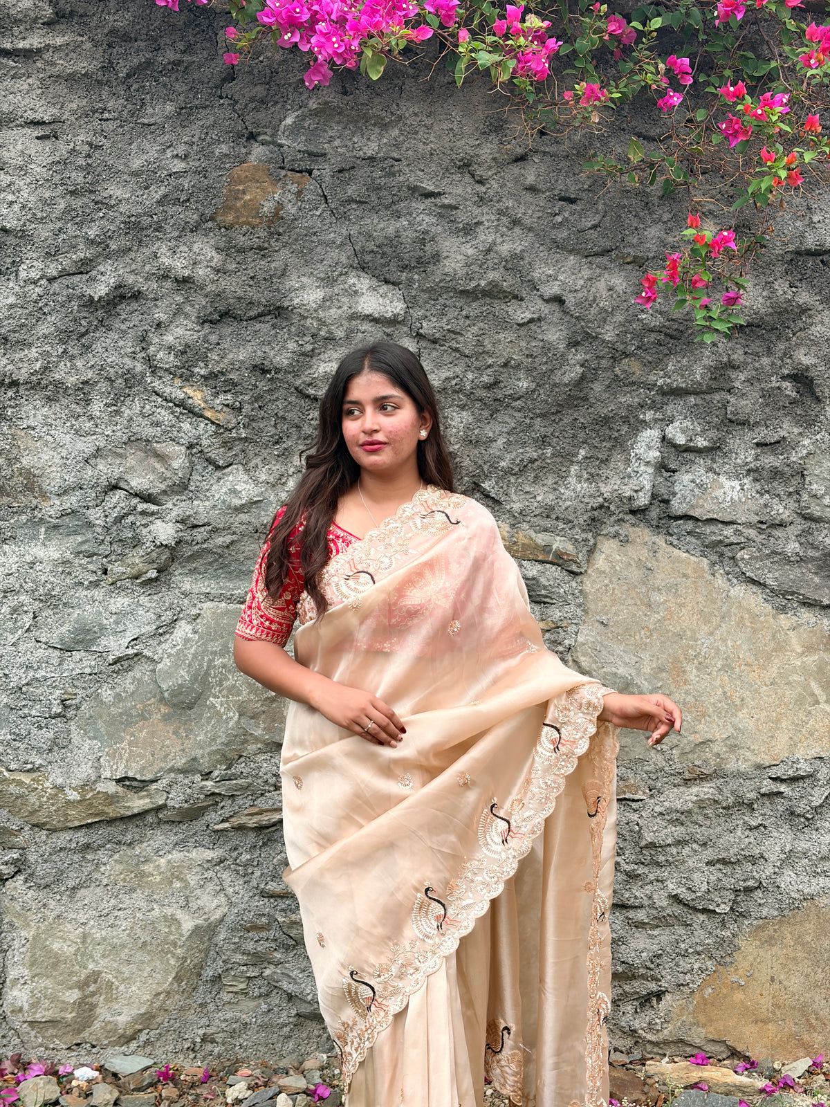 Ivory Peaches Work Soft Organza Saree