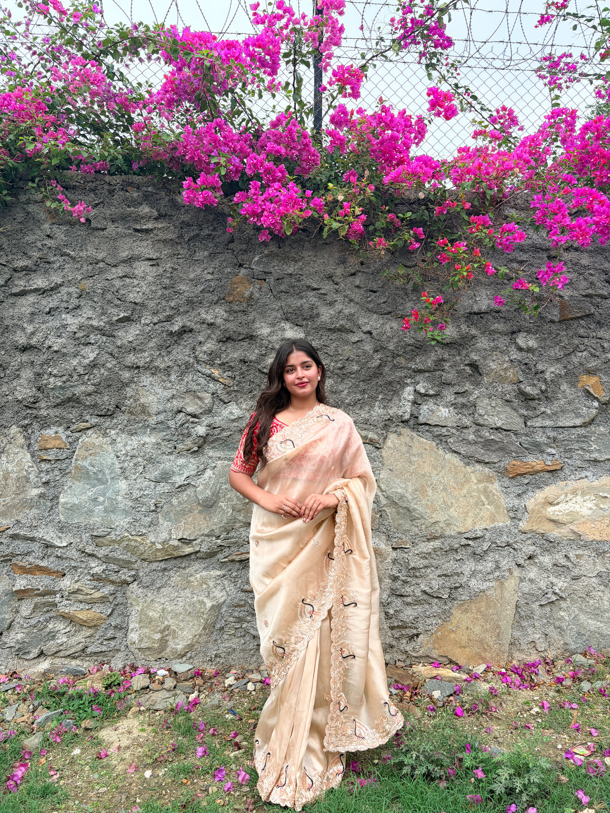 Ivory Peaches Work Soft Organza Saree