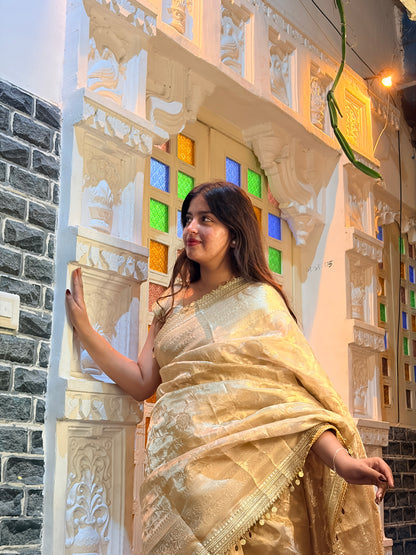 Antique Gold Banarasi Soft Jaal Tissue Silk Saree
