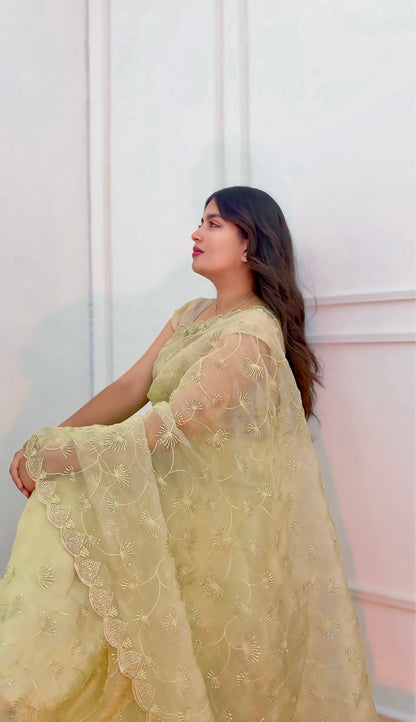 Pista Green Soft Silk Saree