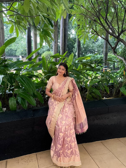 Pink Banarasi Soft Jaal Tissue Silk Saree