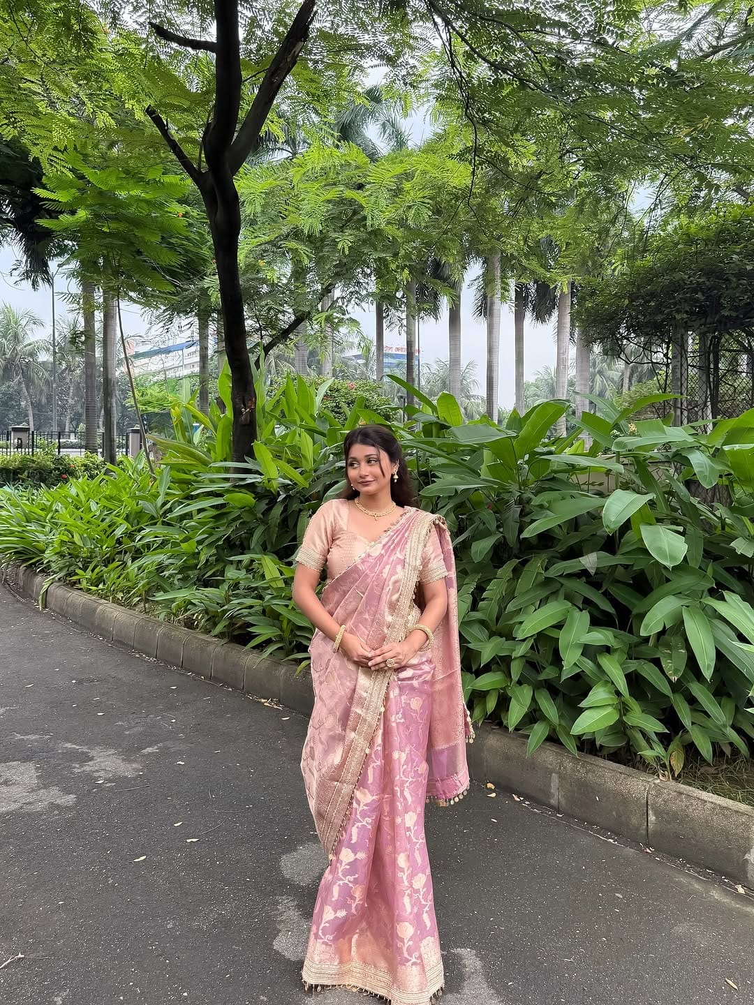 Pink Banarasi Soft Jaal Tissue Silk Saree