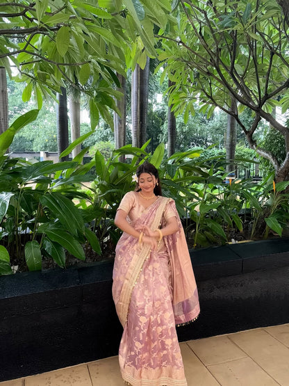 Pink Banarasi Soft Jaal Tissue Silk Saree