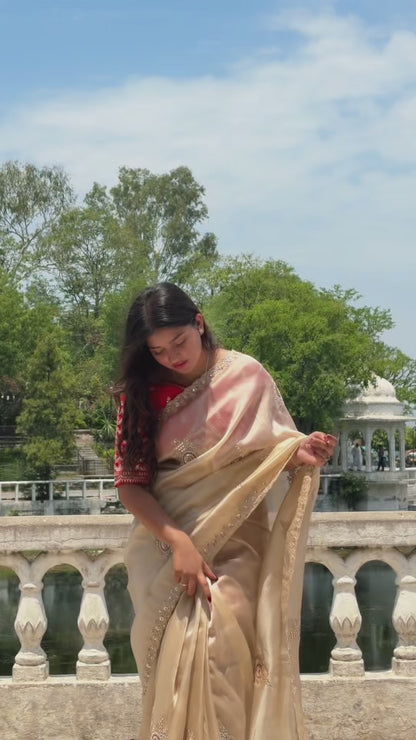 Ivory Beige Organza Saree
